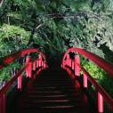 伊香保の河鹿橋の「新緑ライトアップ2021」