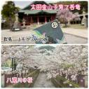 『太田金山子育て呑竜』